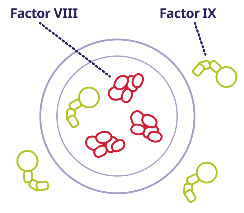 Factor VIII and factor IX infographic