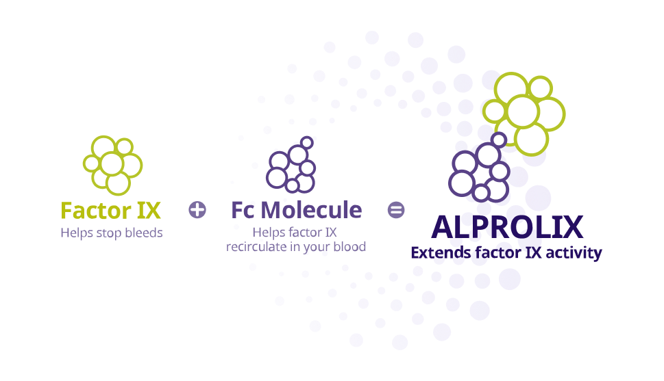  Factor IX molecule + Fc molecule = Fc molecule fused with Factor IX